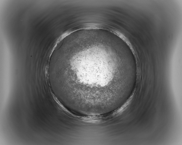 X0000087571481200704271238