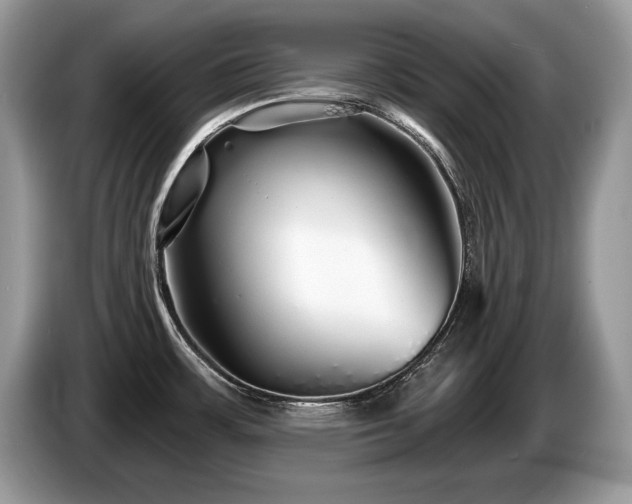X0000087571483200704271238