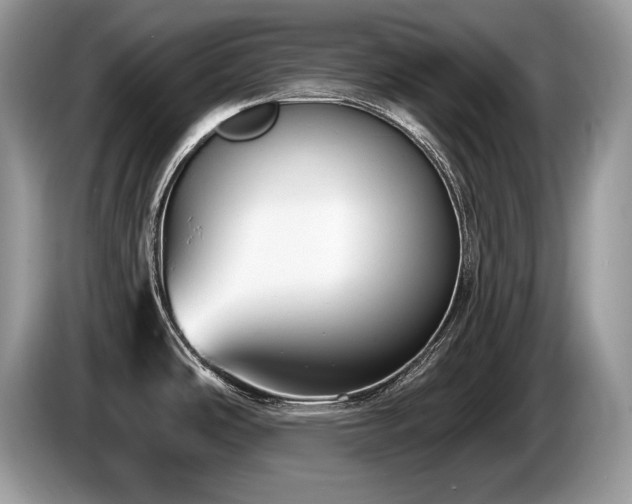 X0000087571486200704271238