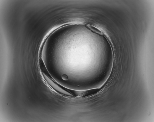 X0000087571488200704271238