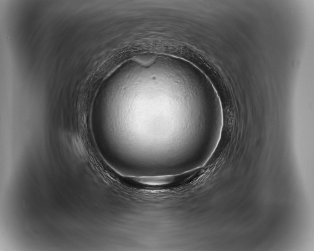 X0000087571489200704271238