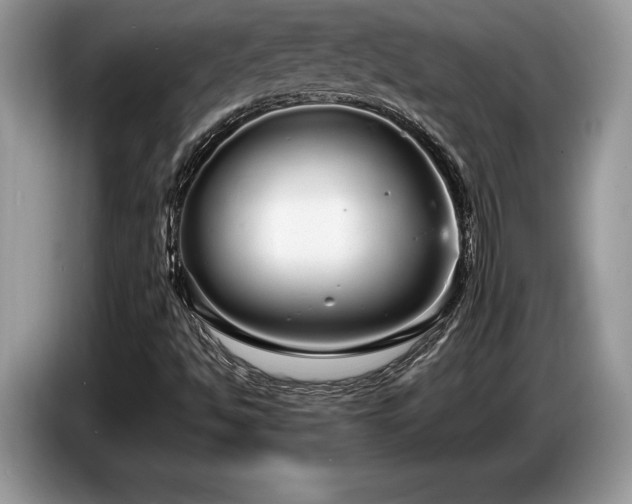 X0000087571494200704271238