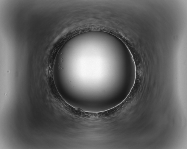 X0000087571495200704271238