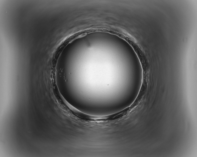 X0000087571496200704271238