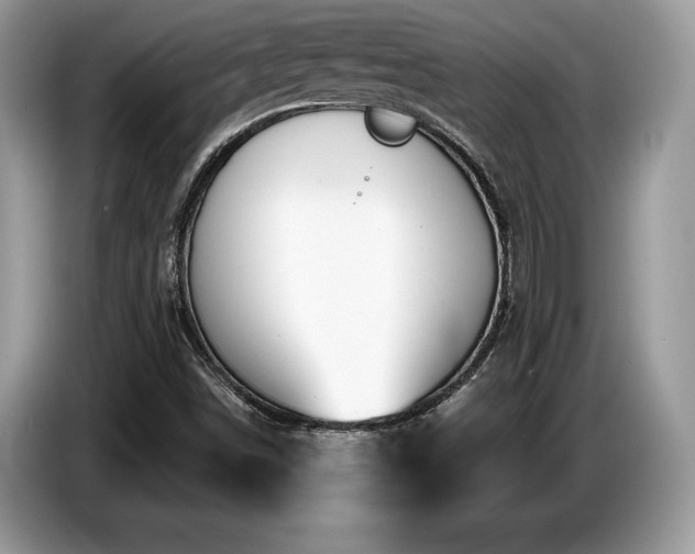 X0000087571498200704271238