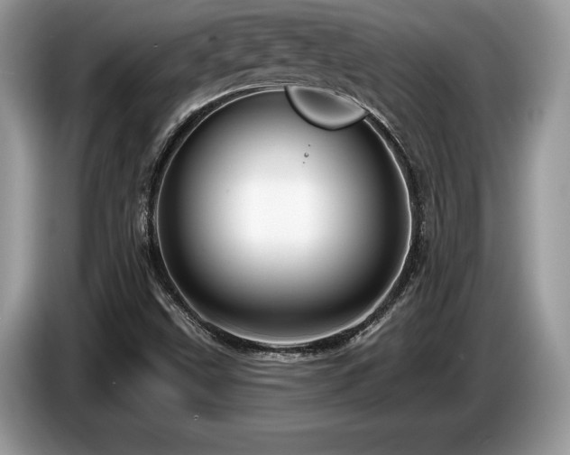 X0000087571499200704271238