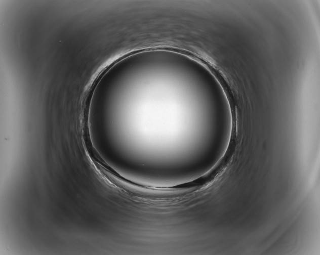 X0000087571500200704271238