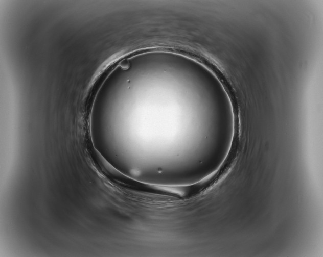 X0000087571501200704271238