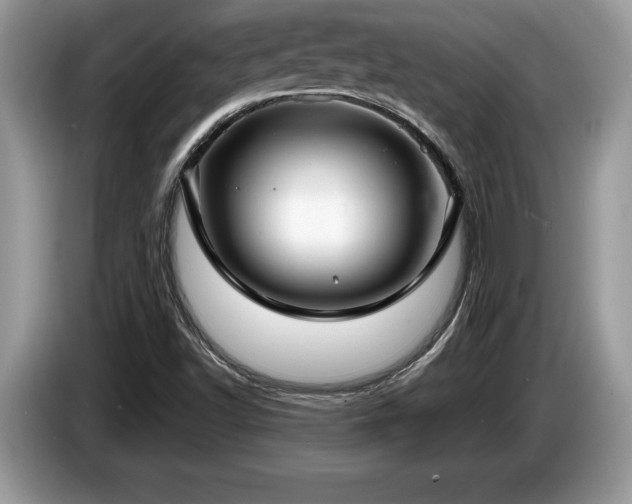 X0000087571502200704271238