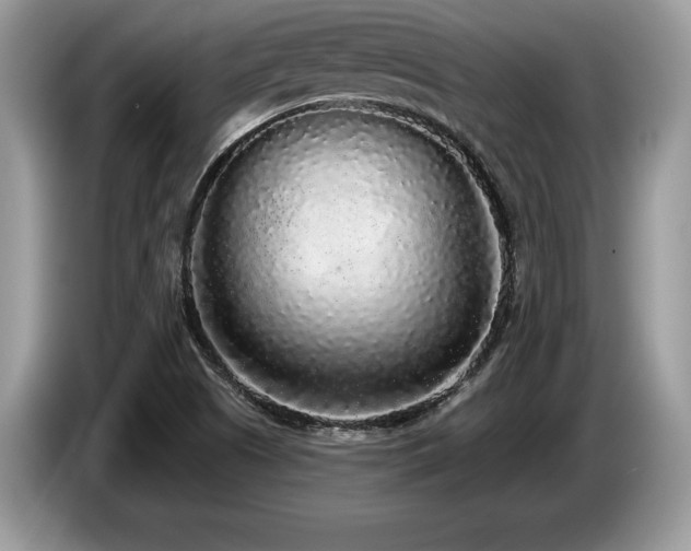 X0000087571505200704271238