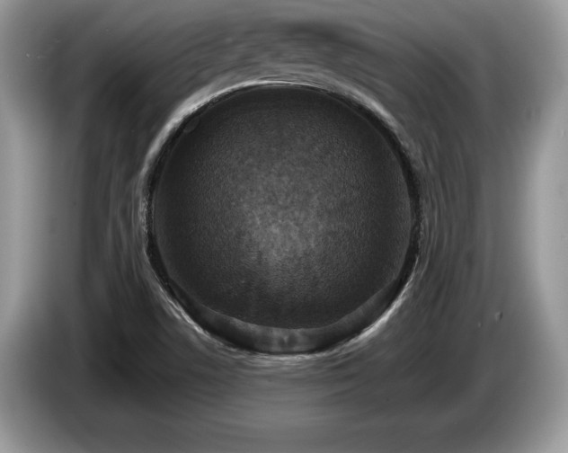 X0000087571506200704271238