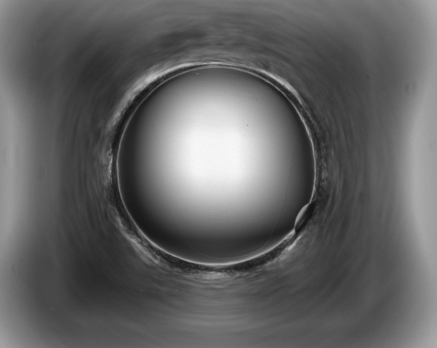 X0000087571507200704271238