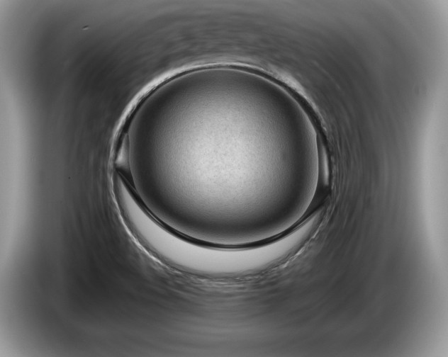X0000087571508200704271238