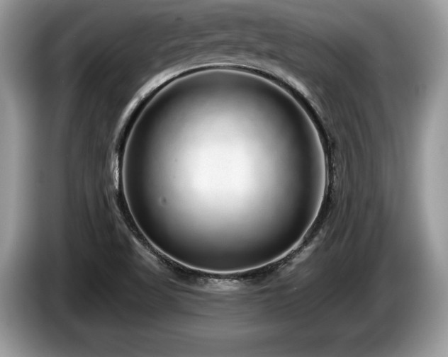 X0000087571509200704271238