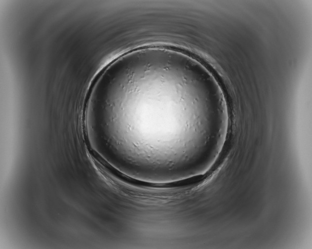X0000087571513200704271238