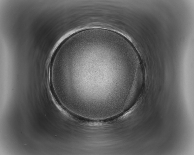 X0000087571515200704271238