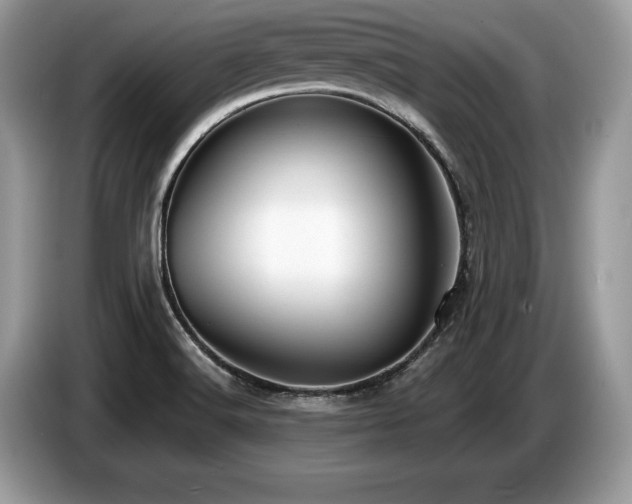 X0000087571516200704271238