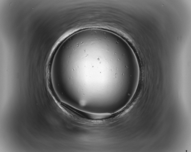 X0000087571517200704271238