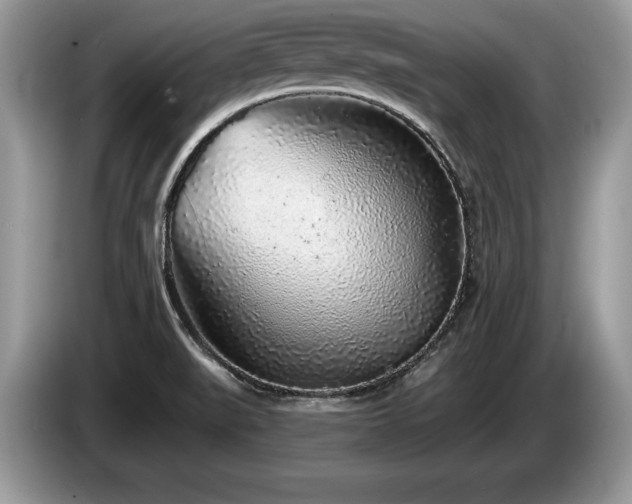X0000087571519200704271238