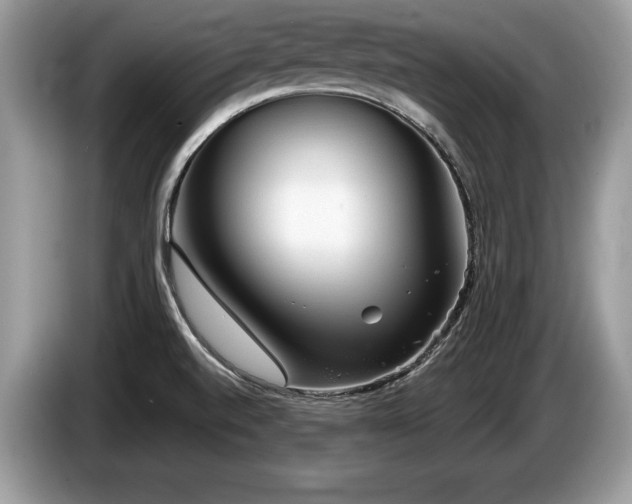 X0000087571520200704271238
