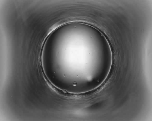 X0000087571521200704271238