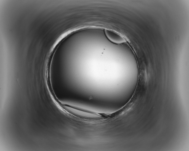 X0000087571523200704271238