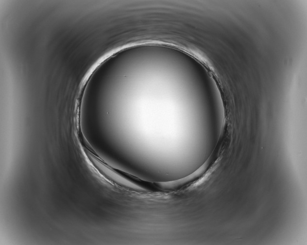 X0000087571524200704271238