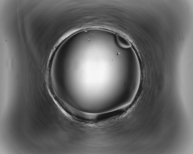 X0000087571525200704271238