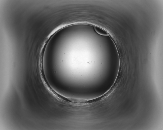 X0000087571526200704271238