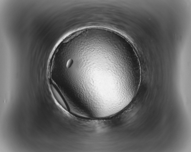 X0000087571527200704271238
