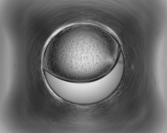 X0000087571528200704271238