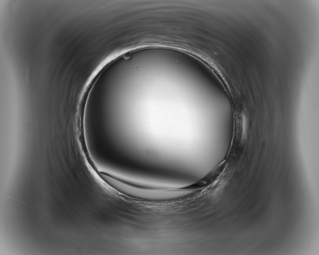 X0000087571531200704271238