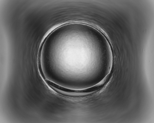 X0000087571533200704271238