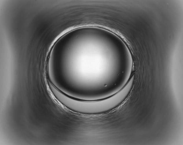 X0000087571534200704271238