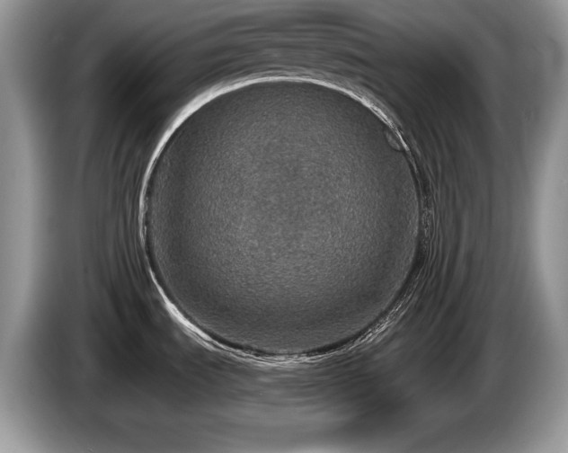 X0000087571535200704271238