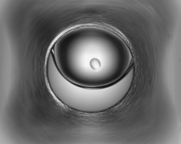 X0000087571536200704271238