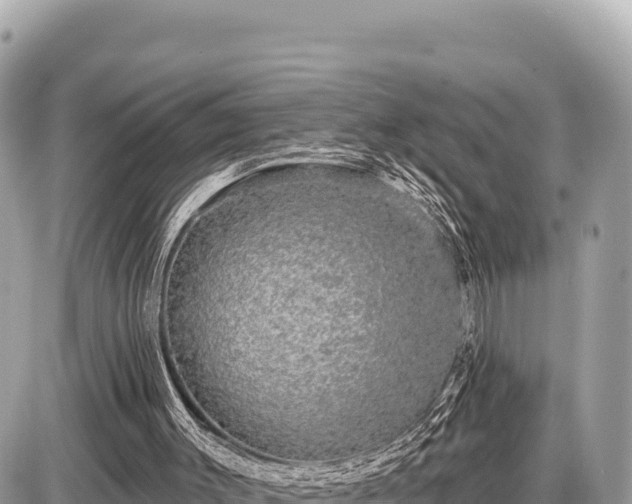 X0000087570003200705041430