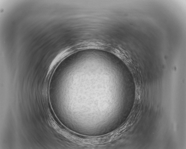 X0000087570004200705041430