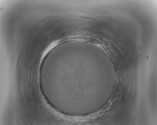 X0000087570006200705041430