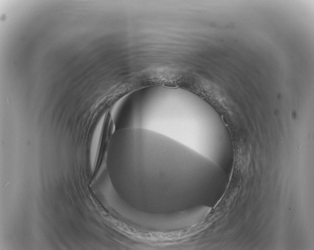 X0000087570027200705041429