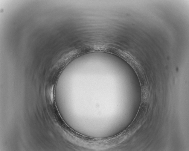X0000087570028200705041429