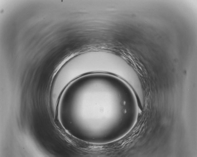 X0000087570052200705041428