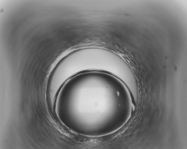 X0000087570056200705041428