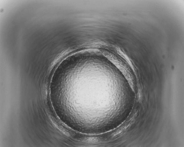 X0000087570059200705041428