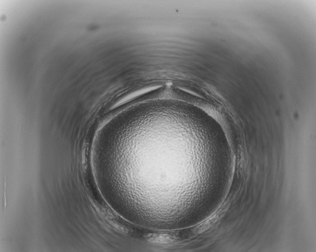 X0000087570074200705041429