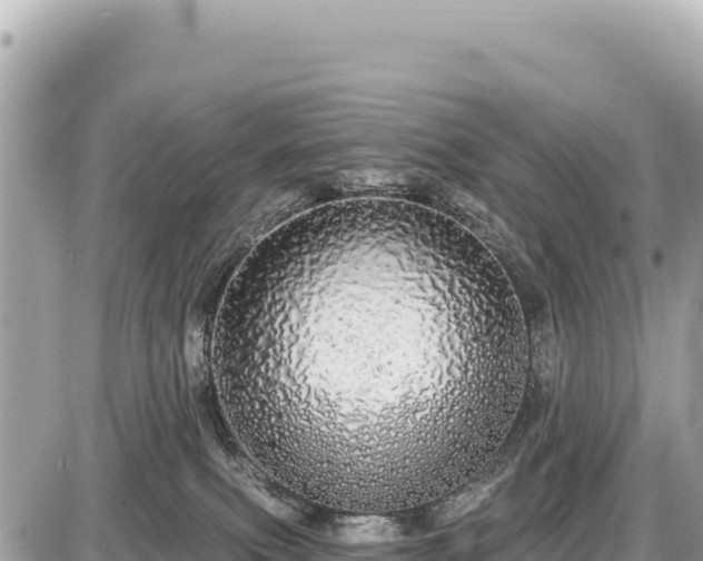 X0000087570087200705041429