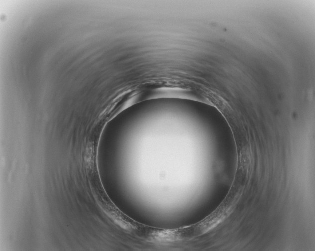 X0000087570092200705041429
