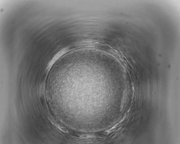 X0000087570099200705041428