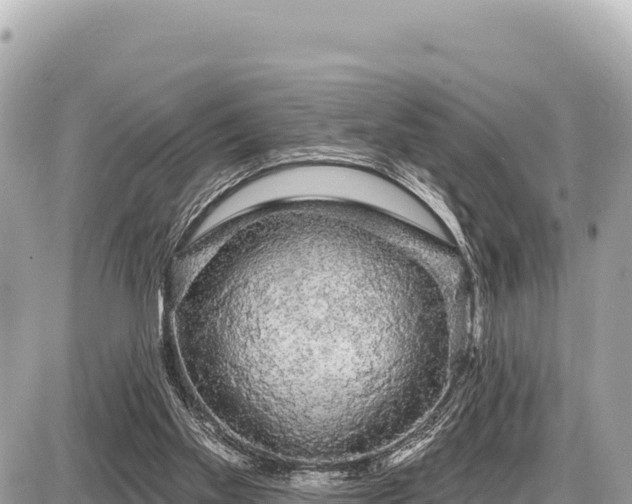 X0000087570109200705041428