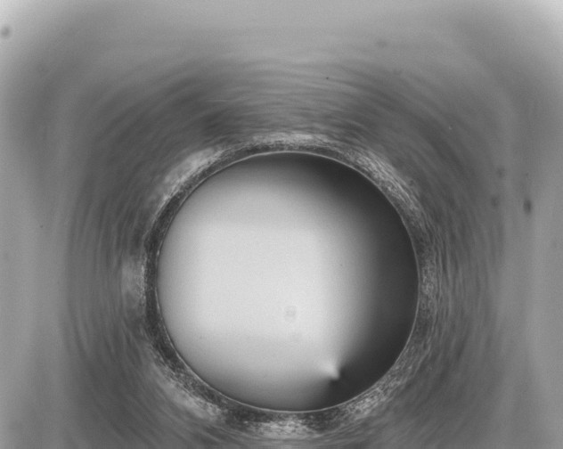 X0000087570112200705041428